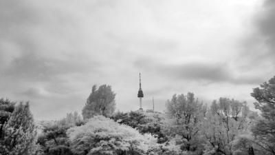 BW Infrared Eyes